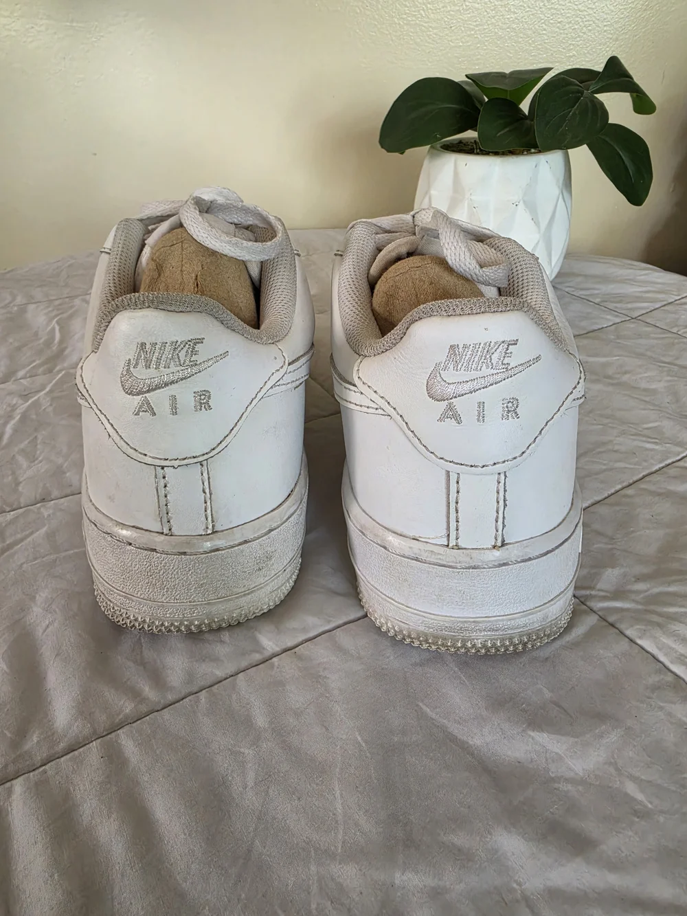Nike low top